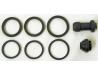 Brake caliper seal kit, Front Left hand